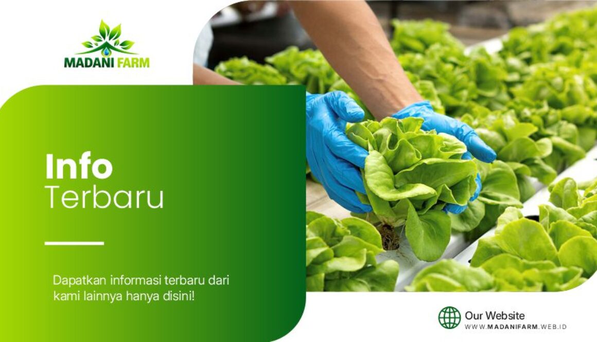 Distributor-Perlengkapan-Hidroponik-dan-Greenhouse-Berkualitas